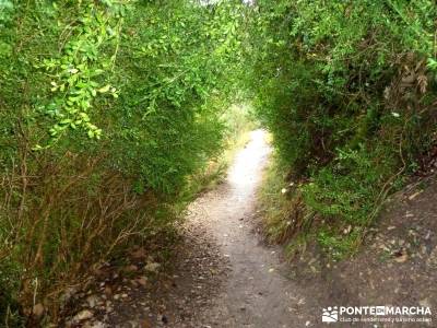 Cazorla - Río Borosa - Guadalquivir; viaje fin año valle del silencio viajes organizados